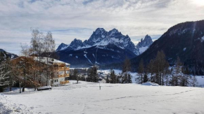 Im Wiesengrund Apartments Sesto